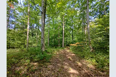 Vl 80th Avenue, Zeeland, MI 49464 - Photo 5