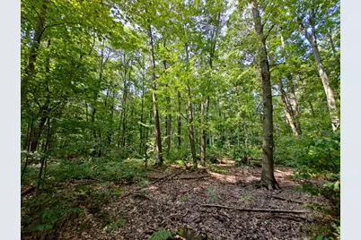 Vl 80th Avenue, Zeeland, MI 49464 - Photo 11