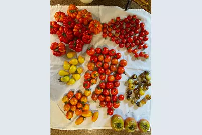 21520 Swafford Road, Battle Creek, MI 49017 - Photo 101