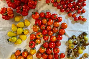 21520 Swafford Rd, Battle Creek, MI 49017 - Photo 101