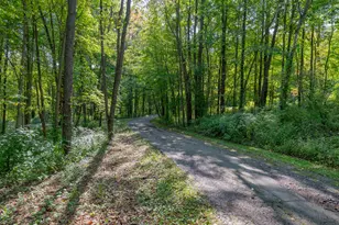 21520 Swafford Rd, Battle Creek, MI 49017 - Photo 77