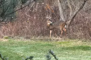 21520 Swafford Rd, Battle Creek, MI 49017 - Photo 105