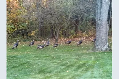 21520 Swafford Road, Battle Creek, MI 49017 - Photo 107