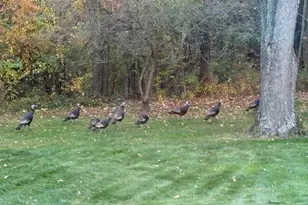 21520 Swafford Rd, Battle Creek, MI 49017 - Photo 107