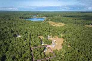 8287 W Hollyhock Ave, Baldwin, MI 49304 - Photo 19