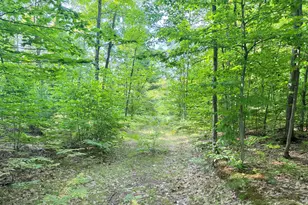 Vl 3 Mile Rd, Luther, MI 49656 - Photo 1