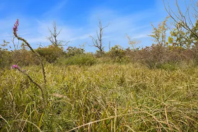 Marl Lake Road, Athens, MI 49011 - Photo 5