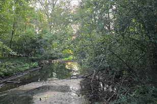 769 Kosmerick Rd, Bronson, MI 49028 - Photo 55