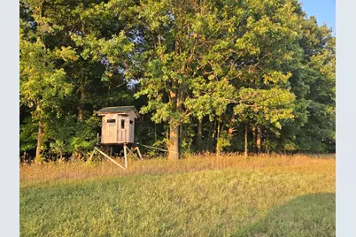 769 Kosmerick Road, Bronson, MI 49028 - Photo 61