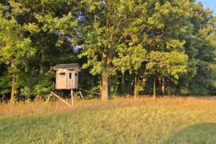 769 Kosmerick Rd, Bronson, MI 49028 - Photo 61