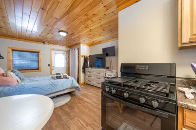 12260 183rd Avenue, Big Rapids, MI 49307 - Photo 37