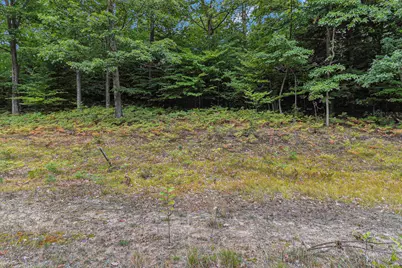 Lot 14 Pine Street, Mears, MI 49436 - Photo 9