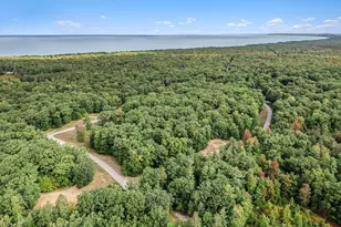 Lot 14 Pine St, Mears, MI 49436 - Photo 1