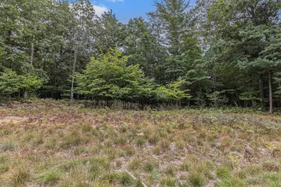 Lot 15 Pine Street, Mears, MI 49436 - Photo 13