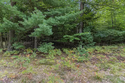 Lot 15 Pine Street, Mears, MI 49436 - Photo 11