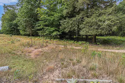 Lot 16 Pine Street, Mears, MI 49436 - Photo 21