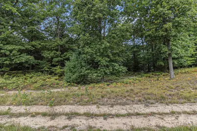 Lot 17 Pine Street, Mears, MI 49436 - Photo 17