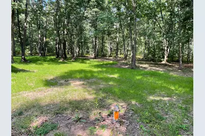 7400 W 10 1/2 Mile Rd Road, Irons, MI 49644 - Photo 13