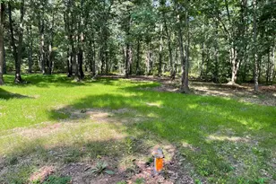 7400 W 10 1/2 Mile Rd Rd, Irons, MI 49644 - Photo 13