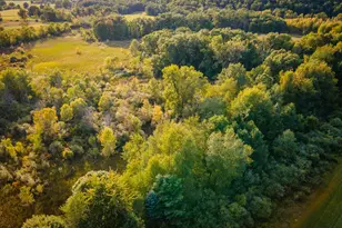 5820 Squires Rd, Jackson, MI 49201 - Photo 13