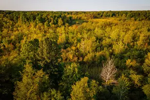 5820 Squires Rd, Jackson, MI 49201 - Photo 25