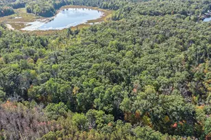 376 W Lincoln St, Brohman, MI 49312 - Photo 19