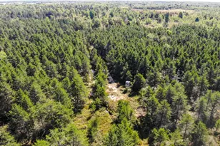 1231 Manor Rd, Au Gres, MI 48703 - Photo 47