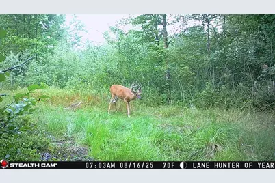 1231 Manor Road, Au Gres, MI 48703 - Photo 61