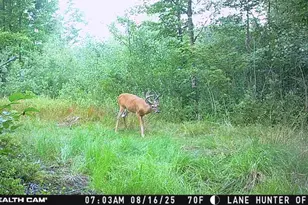 1231 Manor Rd, Au Gres, MI 48703 - Photo 61