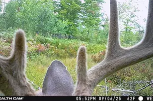 1231 Manor Rd, Au Gres, MI 48703 - Photo 65