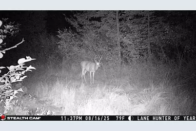 1231 Manor Road, Au Gres, MI 48703 - Photo 63