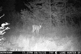 1231 Manor Rd, Au Gres, MI 48703 - Photo 63