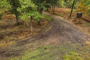 1231 Manor Rd, Au Gres, MI 48703 - Photo 43