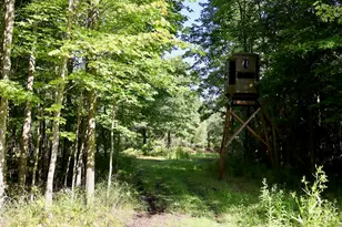 1231 Manor Rd, Au Gres, MI 48703 - Photo 59