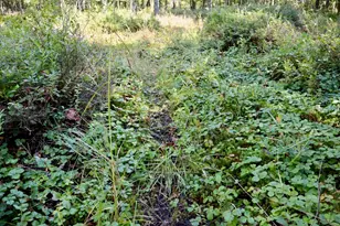 1231 Manor Rd, Au Gres, MI 48703 - Photo 57