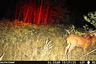 1231 Manor Rd, Au Gres, MI 48703 - Photo 5