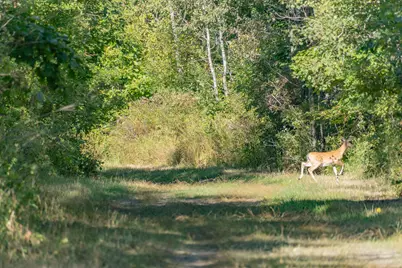1231 Manor Road, Au Gres, MI 48703 - Photo 15
