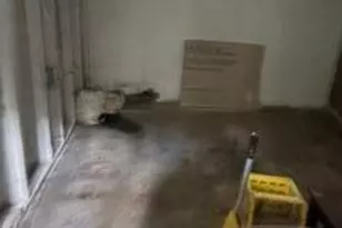 7461 Dolphin, Bedford, MI 48239 - Photo 17