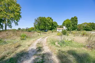 64554 M-40, Jones, MI 49061 - Photo 29