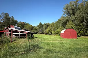 13820 N Adams Rd, Addison, MI 49220 - Photo 19