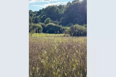 V/L Industrial Park Drive, Greenville, MI 48838 - Photo 5