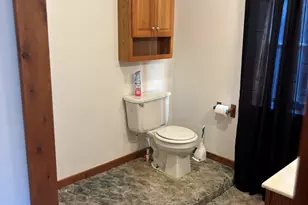 1170 Somers Rd, Lyons, MI 48851 - Photo 31