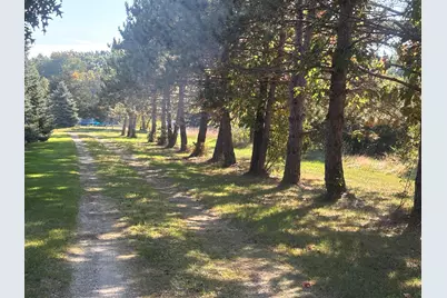 1170 Somers Road, Lyons, MI 48851 - Photo 59