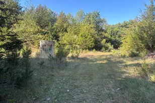 1170 Somers Rd, Lyons, MI 48851 - Photo 51