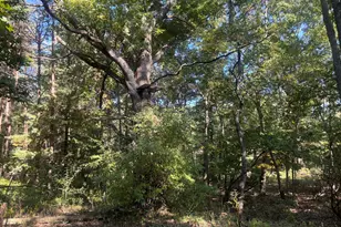 1170 Somers Rd, Lyons, MI 48851 - Photo 53