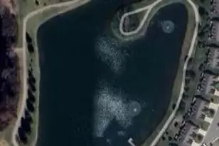 57259 Windmill Pointe, New Hudson, MI 48165 - Photo 49