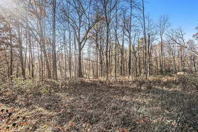 V/L Cedar Lake, Marshall, MI 49068 - Photo 11