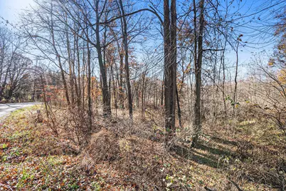 V/L Cedar Lake, Marshall, MI 49068 - Photo 19