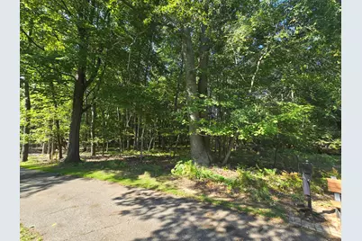 6728 Beechnut Ridge, Canadian Lakes, MI 49346 - Photo 3