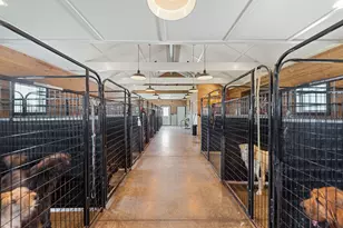 15337 Pardee Rd, Galien, MI 49113 - Photo 61